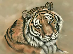 Buy Tiger Print Of Animal Painting By Artist Tracey Earl A5 (5.7 ×8.3 ) Unframed • 6£