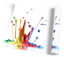 Buy Rainbow Paint Splash White FRAMED ART PRINT Picture Portrait Artwork • 10.99£