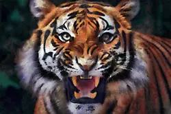 Buy Tiger Jungle Cat PNG, Digital Image Picture Photo Pic Wallpaper Background • 1.22£