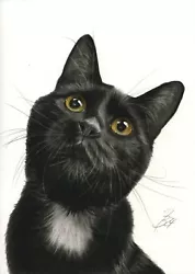 Buy Gato Black Cat Charcoal Charcoal Painting Drawing Drawing Painting Art #89 • 64.24£