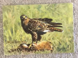 Buy Original Acrylic On Board Of A Raptor On Ground With Rabbit • 15£