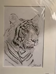 Buy Tiger Drawing Wildlife Art David Tarrant • 220£
