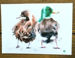 Buy ACEO Watercolor Print Cute Walking Mallard Ducks Couple Fine Art Painting • 3.50£