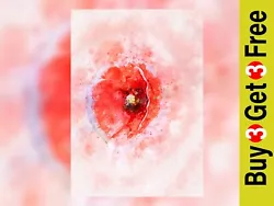 Buy Red Poppy Flower,  Floral Watercolour Painting, Artwork Print, 5  X 7  • 4.99£