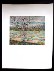 Buy VAN GOGH Vincent Vintage Colour Print 1957  Orchard Blossom French Impressionism • 30£