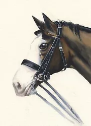 Buy Custom Painted Portrait Of Your Pet, Horse - Original Watercolor - A4  • 150£
