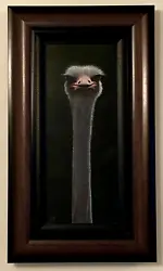 Buy JONATHAN TRUSS (b.1960) Original Acrylic Painting-Ostrich Portrait-Gallery Frame • 1,495£