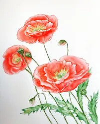 Buy Watercolor Original Poppies Painting Flowers Garden • 45.48£
