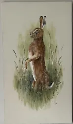 Buy Sitting Hare By A Norfolk Local Artist - Ryan - New • 30£
