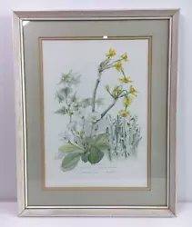 Buy Original Watercolour Painting Flower Study Signed Framed Glazed 50cm X 39.5cm • 25£