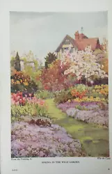 Buy Antique Print Spring In The Wild Garden C1930's From Painting By Ella Du Cane • 2.89£