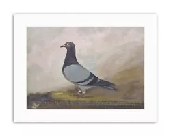 Buy ANIMAL PIGEON DOVE BIRD WOOD Picture Painting Canvas Art Prints • 13.99£