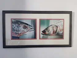 Buy Original Signed Acrylic And Pastel Sketchs Painting Of Rainbow Trout By HARVEY • 400£
