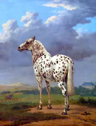 Buy Vintage Leopard Appaloosa Horse Painting CANVAS ART PRINT  36 X 24  • 28.96£
