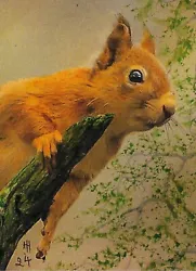 Buy ACEO Original  Curious -  Red Squirrel  Collage & Painting By Hélène Howse • 7.99£