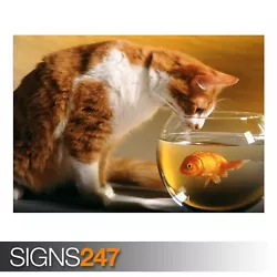 Buy CAT AND FISH (3434) Animal Poster - Picture Poster Print Art A0 A1 A2 A3 A4 • 1.10£