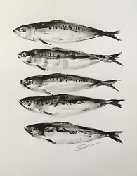 Buy Original Signed Ink Sketch Painting Of Fish Mackerel A3 • 35£
