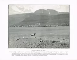Buy Loch Linnhe Fort William Ben Nevis Scotland Antique Picture Print C1900 PS#194 • 5.99£