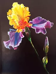 Buy IRIS Flower Floral 30 By 40 Cm Realism Oil Handmade Original Painting On Canvas • 62.43£