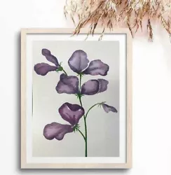 Buy Sweet Pea Flower | Original Hand Painted | Watercolour Painting | Botanical | A5 • 30£