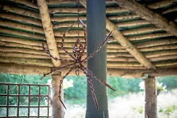 Buy Hanging Spider Steel Garden Sculpture Bespoke Art By Rob Faherty • 800£