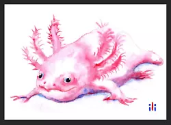 Buy ACEO Watercolor Print Cute Pink Axolotl Fine Art Painting By Ili • 3.50£