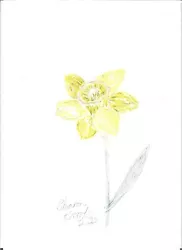 Buy Daffodil Watercolour Painting By Sharon Louise Brooks • 10£