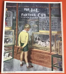 Buy Vintage Retro 1950s Art Print Matter Size Pet Shop Child Dog John Bull Picture • 10£