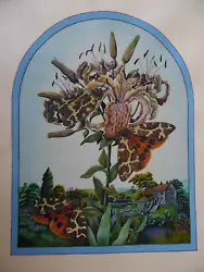 Buy Lily Flower + Butterfly In Garden Landscape. Una Woodruff Original • 70£
