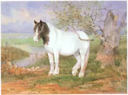 Buy Crossbred Heavy Horse,  Book Print Of A  Painting By  G.  Beningfield      • 2.15£