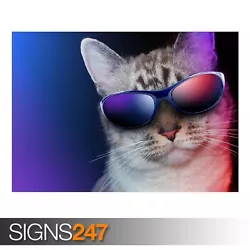 Buy COOL CAT (AE851) - Photo Picture Poster Print Art A0 A1 A2 A3 A4 • 1.10£