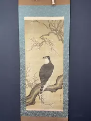 Buy Nw5828 Hanging Scroll  Hawk On A Plum Tree  By 南渓 • 378£