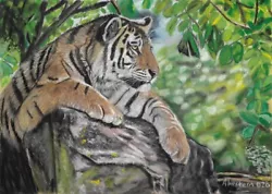 Buy An Original Wildlife Pastel Painting Of A Beautiful Tiger Resting • 70£
