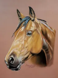 Buy Pastel Painting On Paper Horse Realism Original Drawing  Equine!!! • 99£