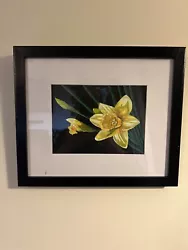 Buy Rachel Morris Original Artwork ‘Daffodils’2013 Welsh Artist Acrylic  • 30£