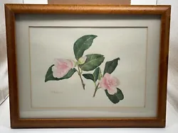 Buy 'camellia' Original Framed Art Painting Signed Anne Harrisson Local Artist • 19.99£