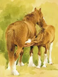 Buy Mare And Foal,  Book Print Of A  Painting By G. Beningfield      • 2.09£