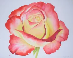 Buy Original Watercolour Painting Flower. English Red & Yellow Rose. Malgorzata Lis • 5.99£