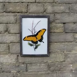 Buy Rare Reverse Glass Painting In Decorative Art Deco Frame Exotic Yellow Butterfly • 28£