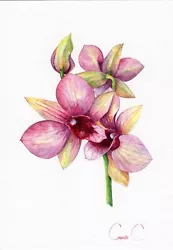 Buy Pink Flowers, Orchid, Floral Art, Watercolor Original Painting From The Artist • 32.62£