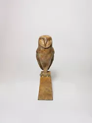 Buy Owl (Grand) - Cast In Bronze • 165£