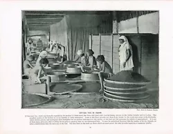 Buy Sifting Tea In Assam India Antique Print Victorian Old Picture 1897 TQE#78 • 6.99£