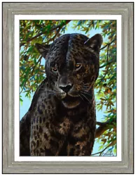 Buy Guy Coheleach Original Wildlife Portrait Animal Painting On Board Signed Framed • 8,978.40£
