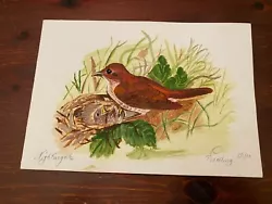Buy Original Watercolour Painting By T Snelling 2000 Nightingale 8.25  X 5.75  • 14.99£