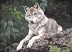 Buy Wild Animal Painting, Painting, Drawing, Grey Wolf, Grey Wolf Art Painting, Dog • 137.04£