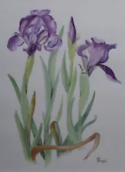 Buy Purple Iris Flowers - Framed Botanical Watercolour Painting Signed Monogram • 35£
