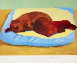 Buy DAVID HOCKNEY Dog 43 1995 VINTAGE Contemporary 'Dog Paintings' Exhib. Poster NEW • 189.98£