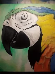 Buy Macaw,close Up,Acrylic On Canvas, 16x20 • 66.92£