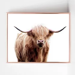 Buy Highland Cow Print PICTURE  WALL ART A4  Unframed 22 Colour Animal Portrait • 3.99£