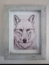 Buy WOLF 6x4  Unframed Matt Photo Print Picture Love Gift Animal  • 1.99£